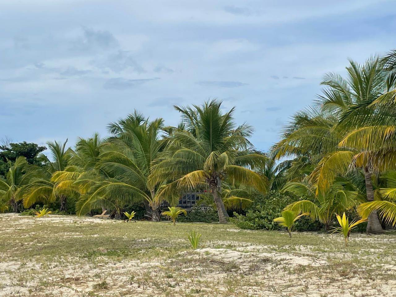 8. Single Family Homes 为 销售 在 绿龟岛, 阿巴科 巴哈马