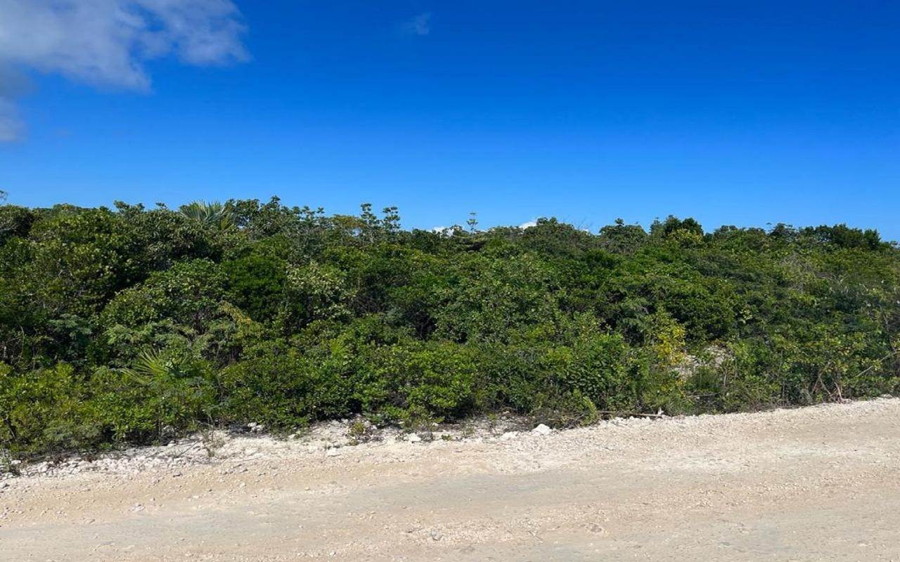 Land for Sale at Indian Hole Point, Long Island Bahamas