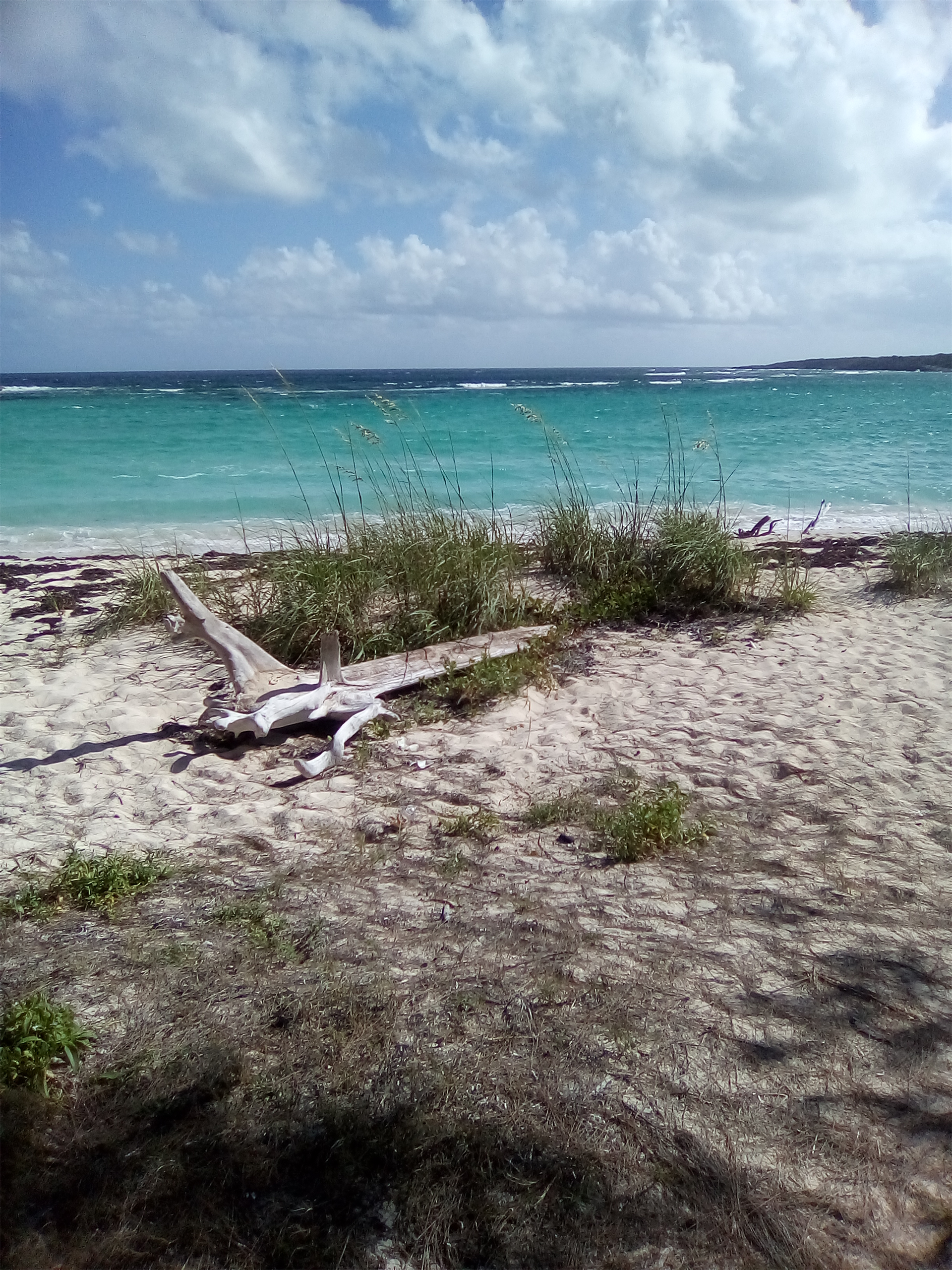 5. Acreage / Land / Lots for Sale at Turtle Cove, Between Clarence Town And Deadman's Cay Other Long Island, Long Island Bahamas